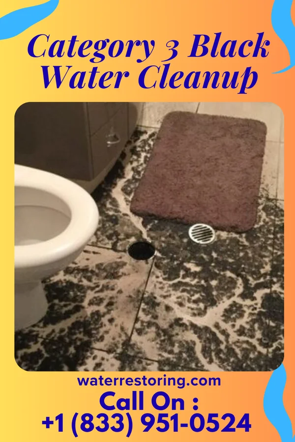 Category 3 Black Water Cleanup in Warrior Run, PA