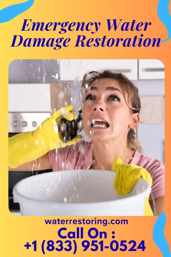 Emergency Water Damage Restoration in Warrior Run, PA