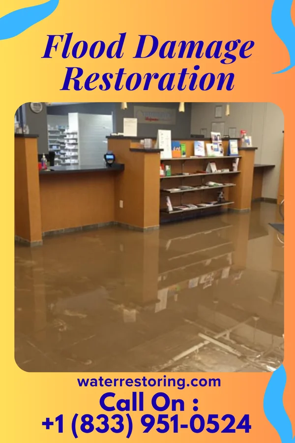 Flood Damage Restoration in Warrior Run, PA