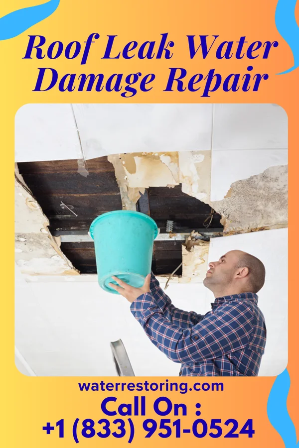 Roof Leak Water Damage Repair in Warrior Run, PA