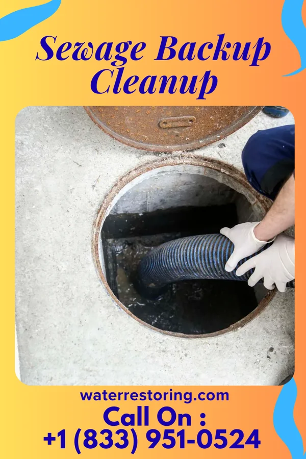 Sewage Backup Cleanup in Warrior Run, PA