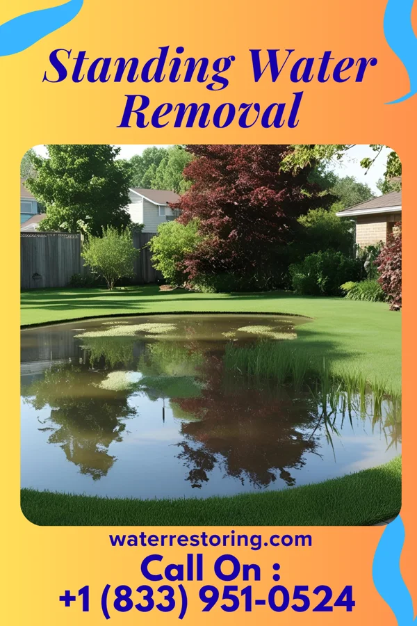 Standing Water Removal in Warrior Run, PA